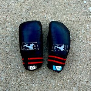 ATA Taekwondo Martial Arts Youth Sparring Gloves Karate Gear